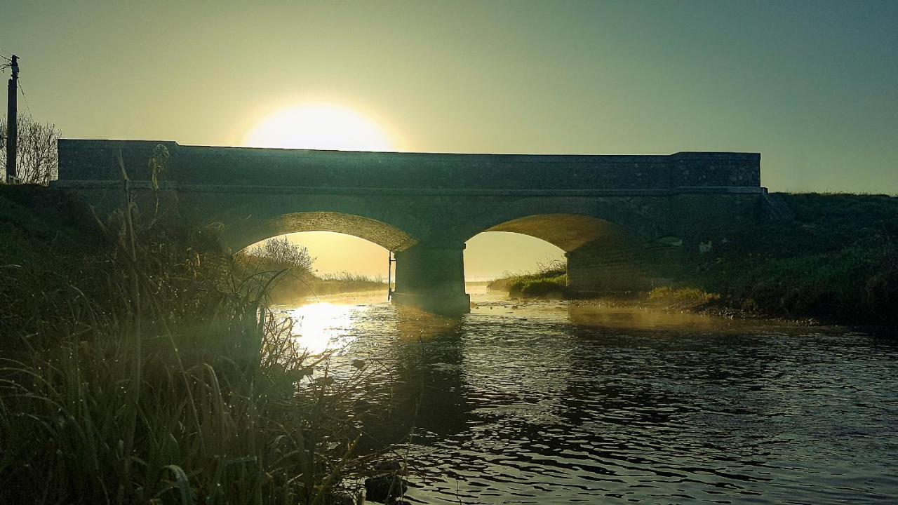 Le Domaine Des Roseraies Monfréville Dış mekan fotoğraf